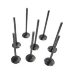 CHERY ALİA SUBAP TAKIMI