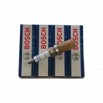 BUJI-BOSCH-1.png