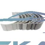 CHERY TİGGO KOL YATAK 0.50